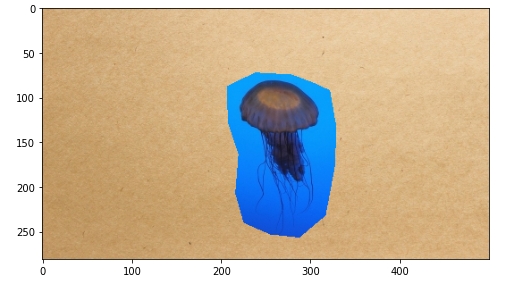Jellyfish pasted onto stationary