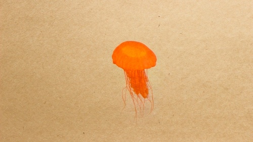 Jellyfish blended onto stationary using mixed gradients